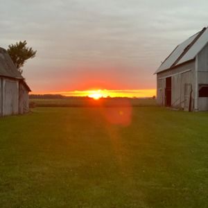 Meet your Posher, Kriss